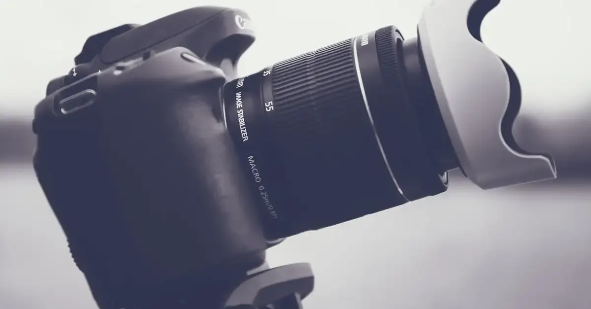 Ansichtssache Fotografie: Perspektiven und Bildgestaltung