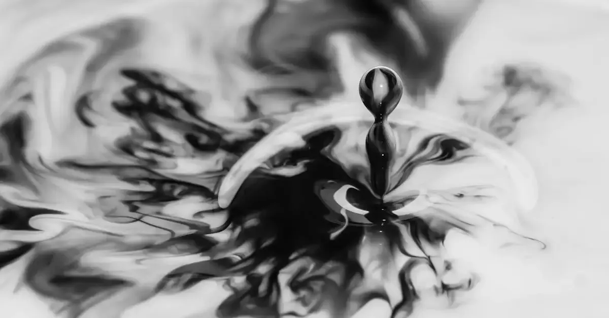 Bildende Kunst Fotografie: Meisterwerke und Techniken