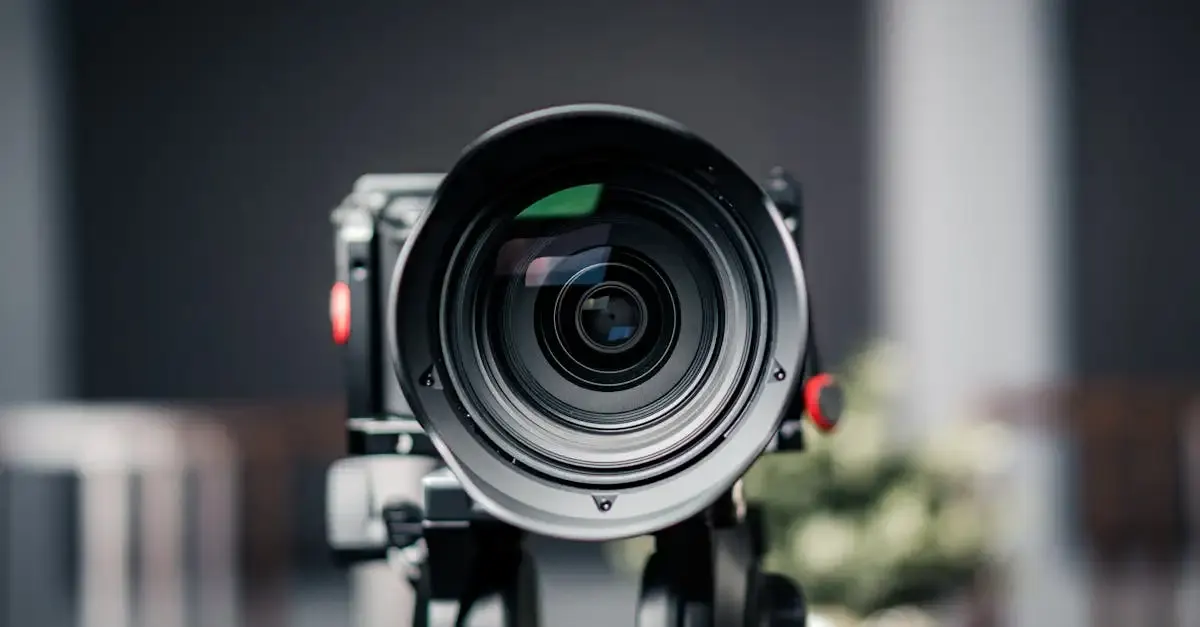Bildkomposition fotografie