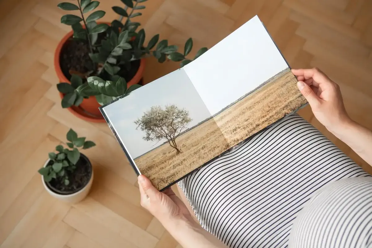 Bildner verlag fotografie