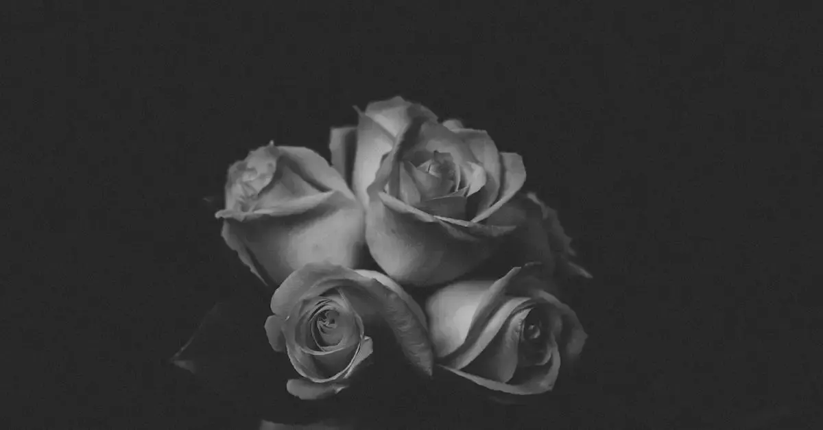Fotografie bouquet