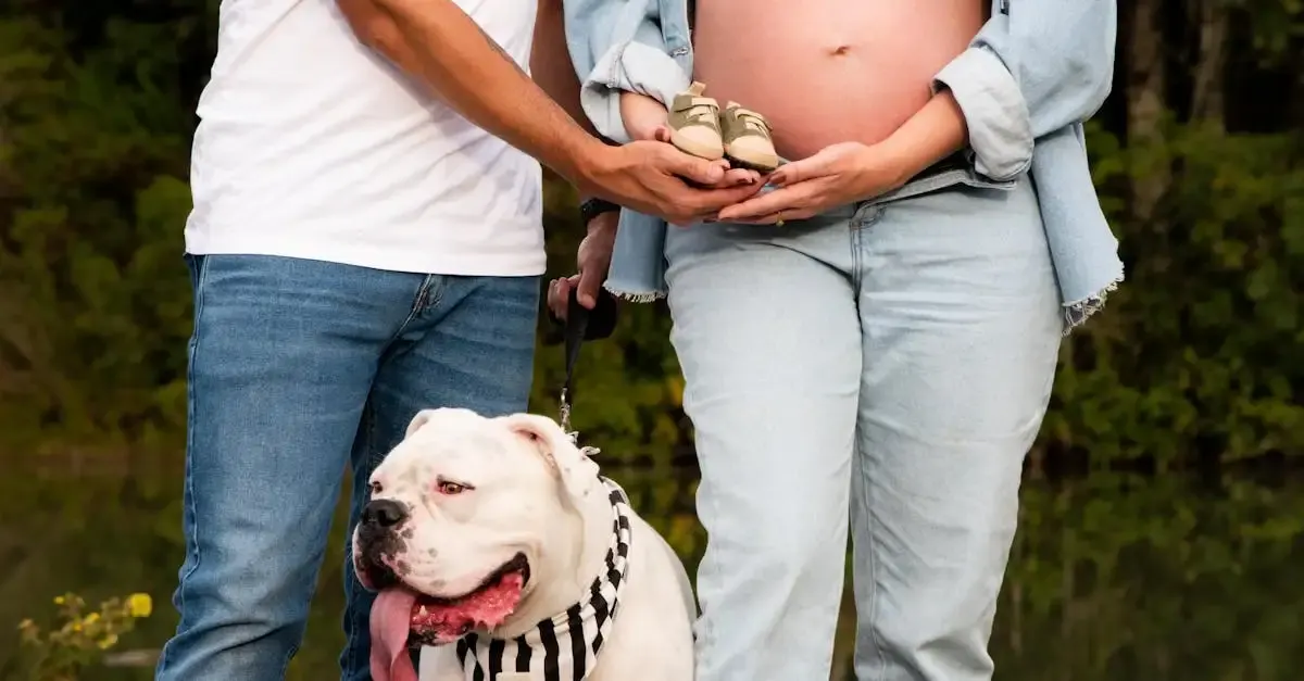 Babybauch fotografie