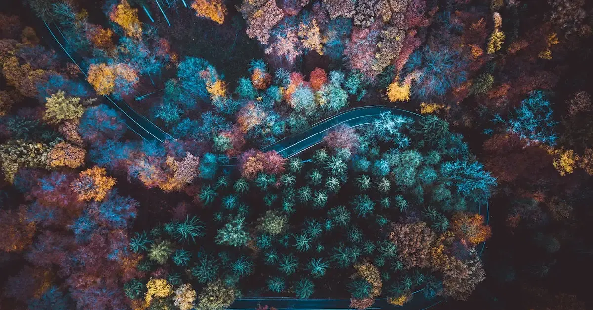 Drohnen fotografie
