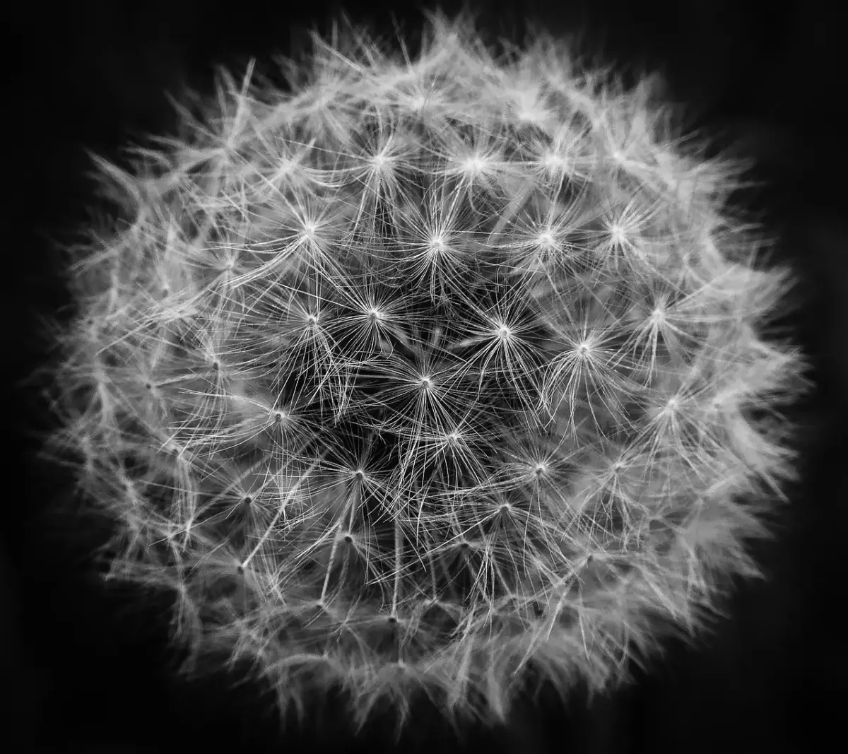 Fine art fotografie