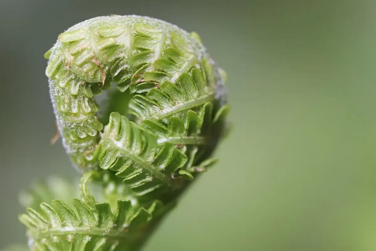 Fluoreszenzfotografie: Techniken, Tipps und beeindruckende
