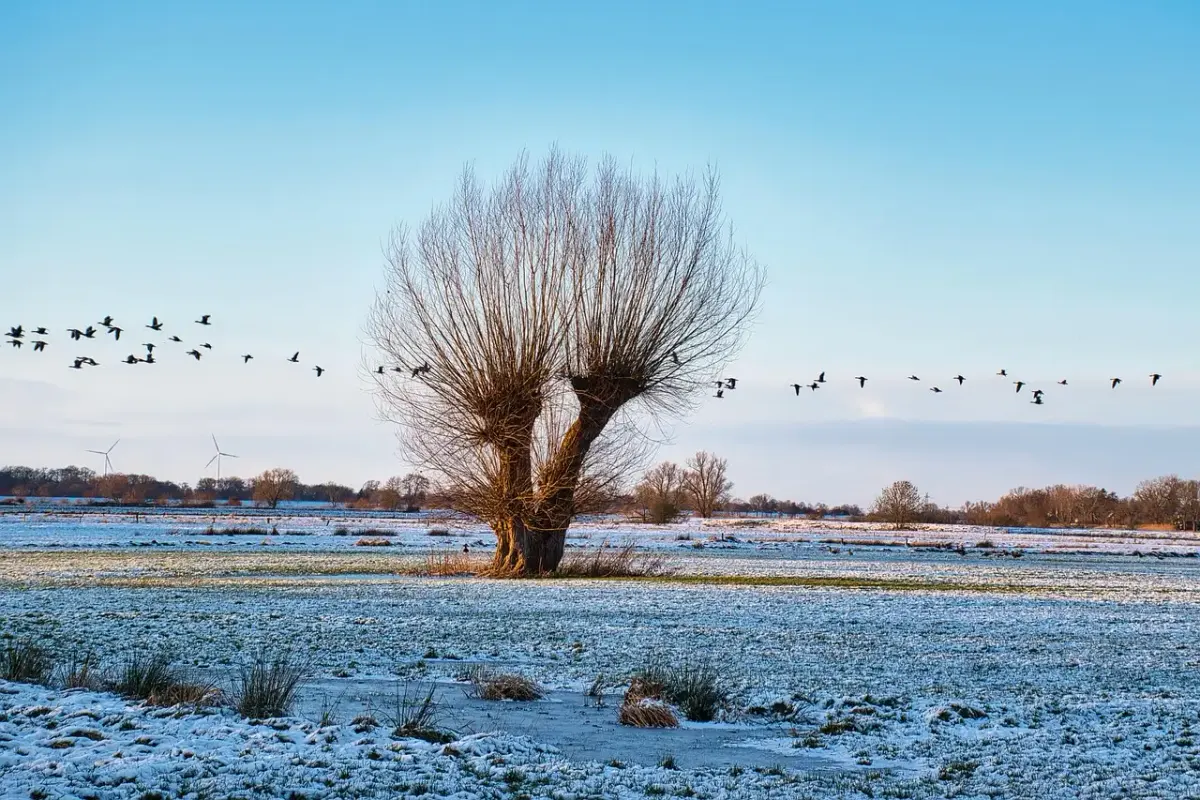 Fotografie delmenhorst