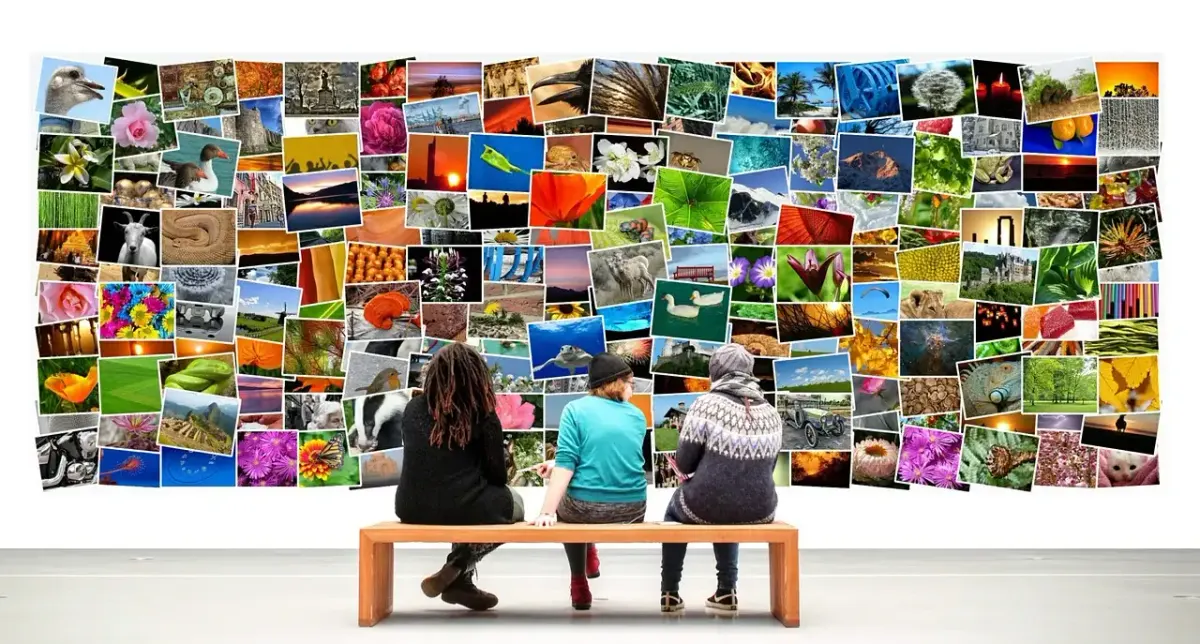 Fotografiemuseum Leipzig: Ausstellungen und Sammlung