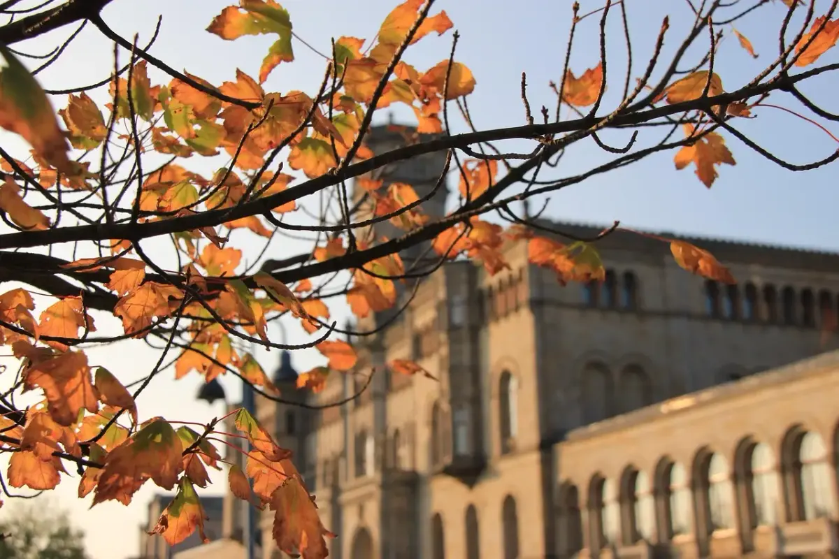 Studium fotografie hannover
