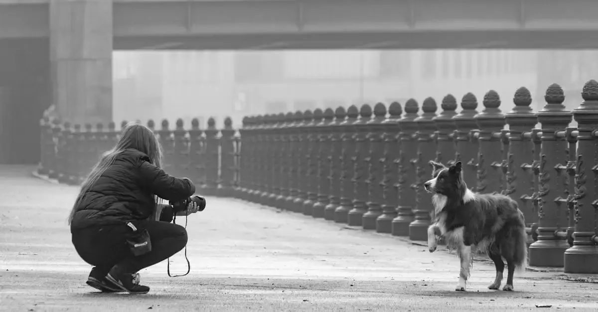 Hobby Fotografie Forum – Tipps, Bilder und Diskussionen