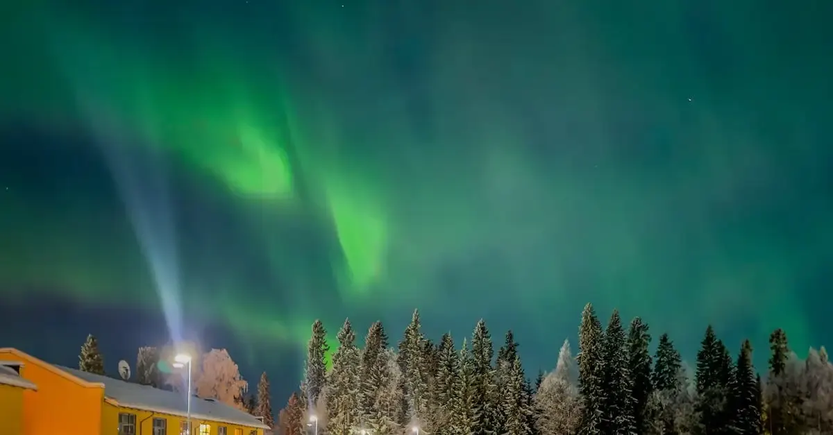 Icm fotografie anleitung