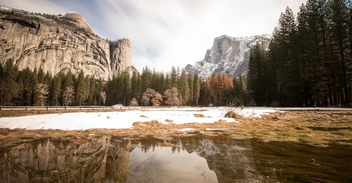 Anfänger fotografie