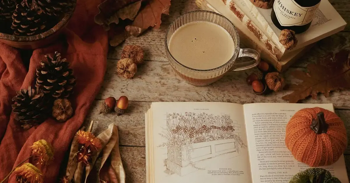 Bücher fotografie für einsteiger