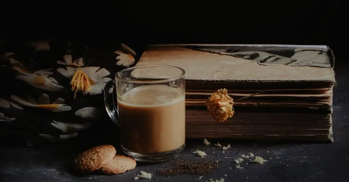 Bücher für fotografie