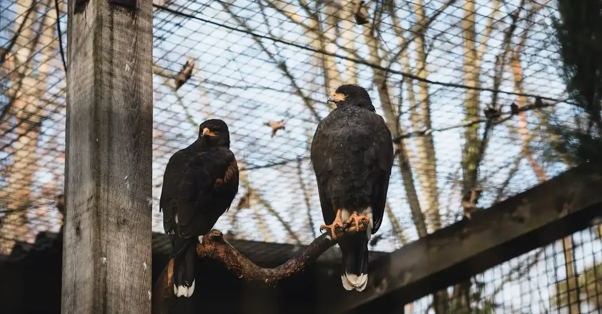 Brennweite fotografie