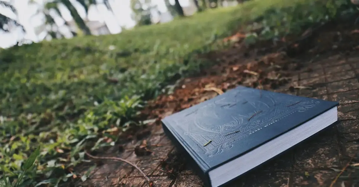 Buch fotografie lernen