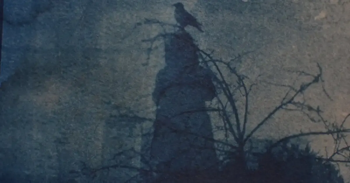Cyanotype fotografie