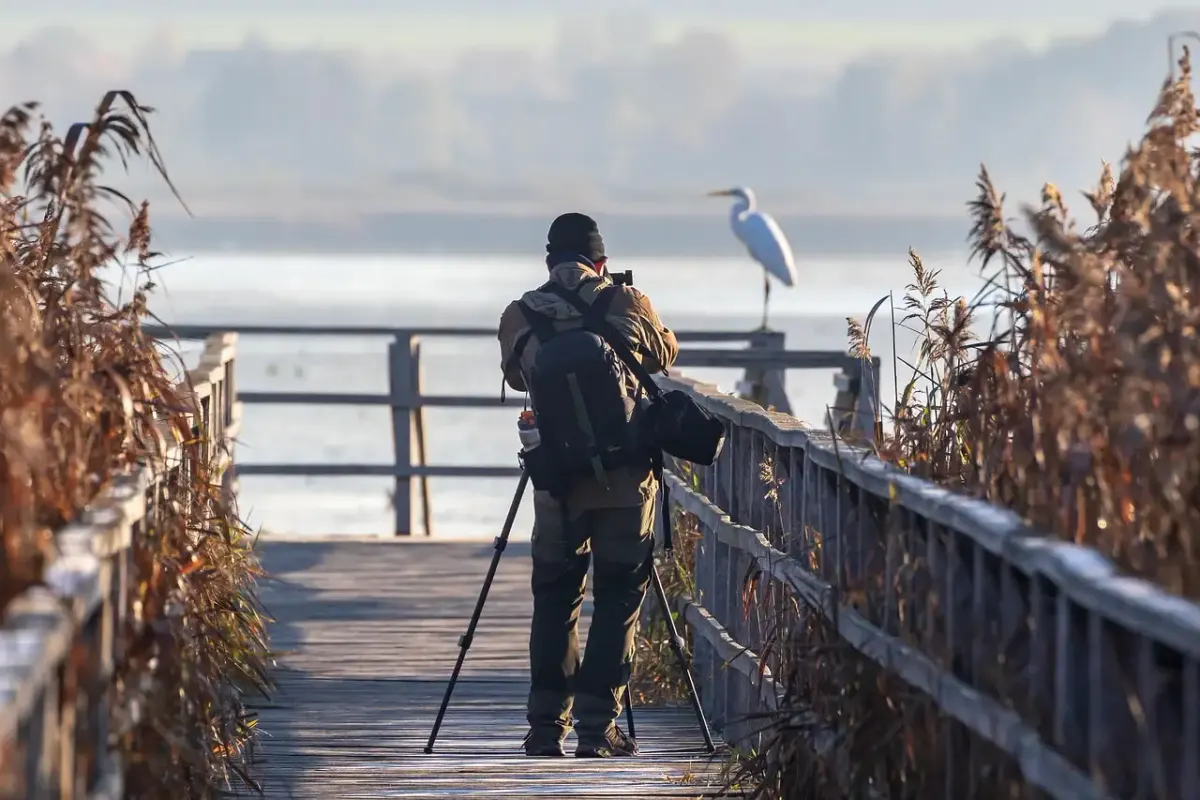Das Herz der Fotografie: Grundlagen und Techniken