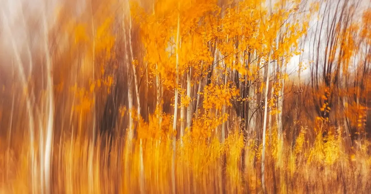Experimentelle fotografie