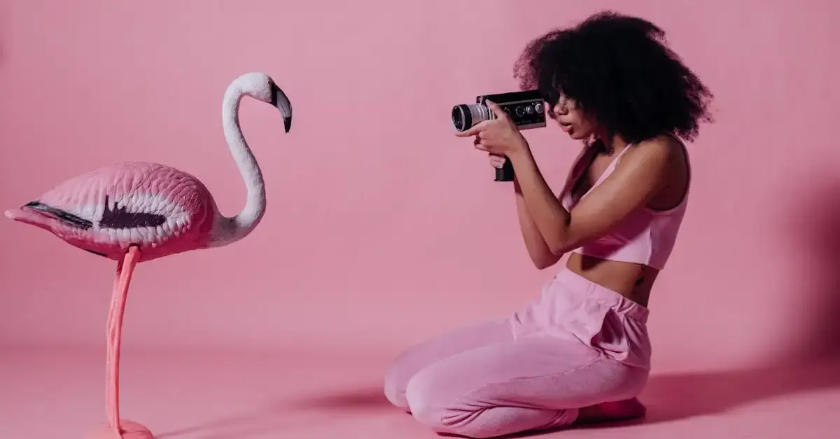 Fotografie bilder