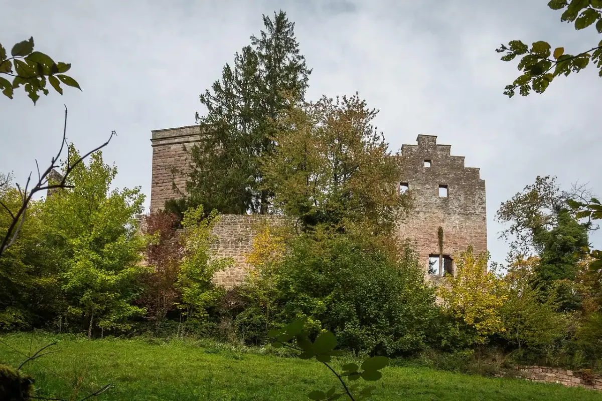 Fotografie calw