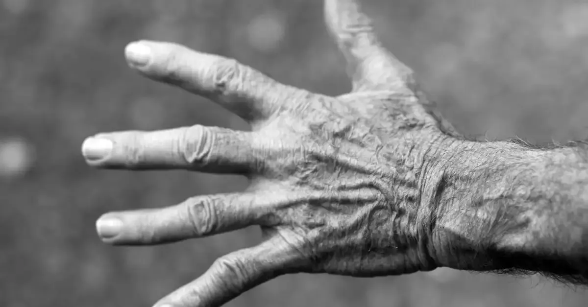Fotografie der Herzenswärme und Seeligkeit erleben