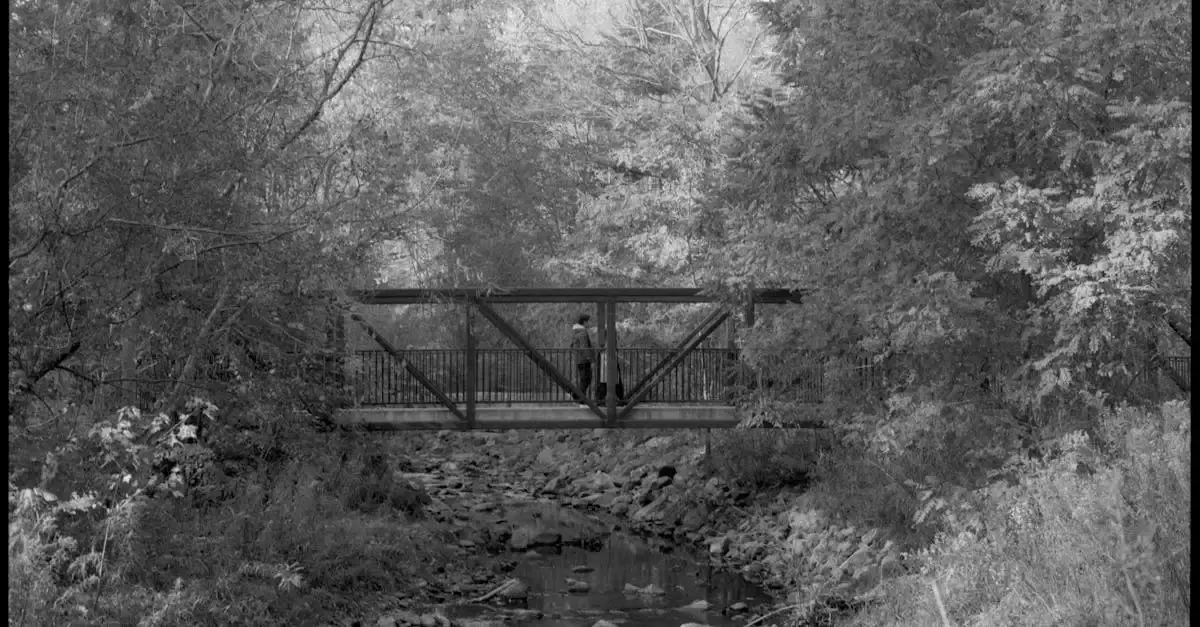 Fotografie im wald