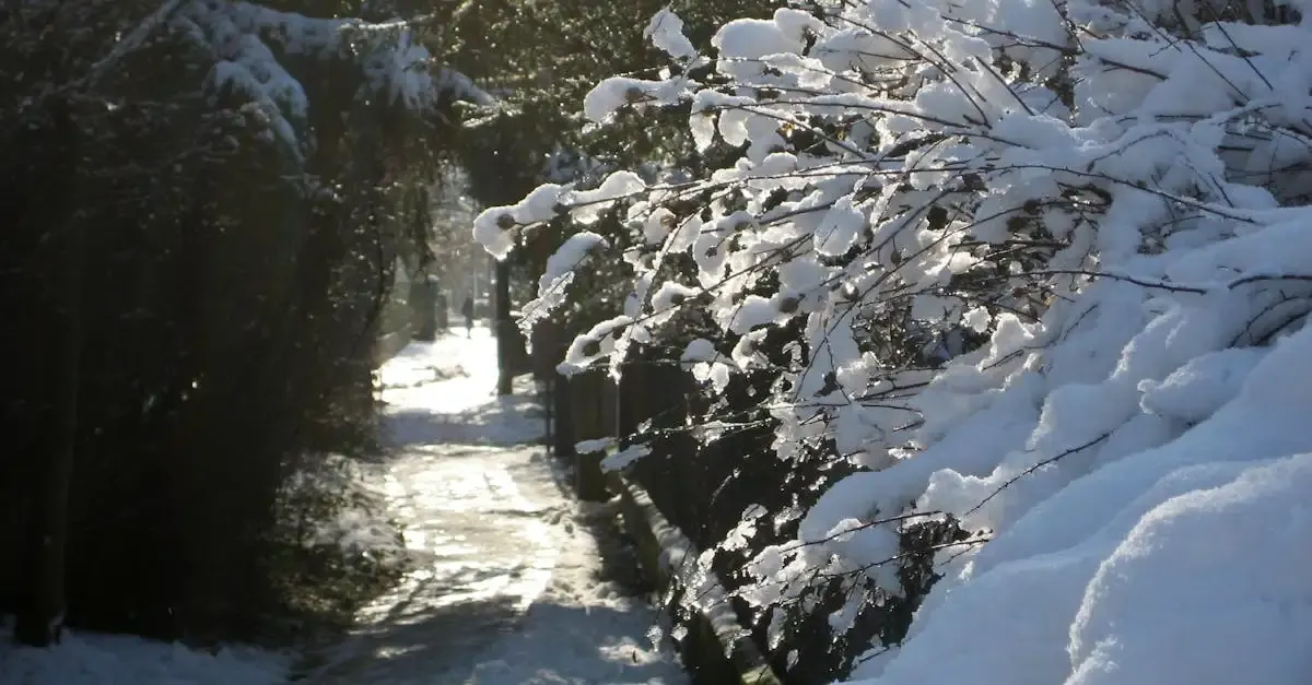 Fotografie im winter
