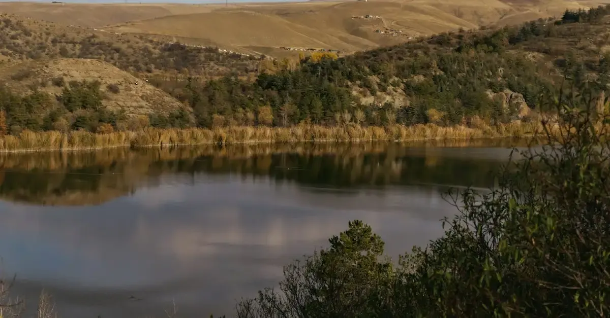 Fotografie landschaft