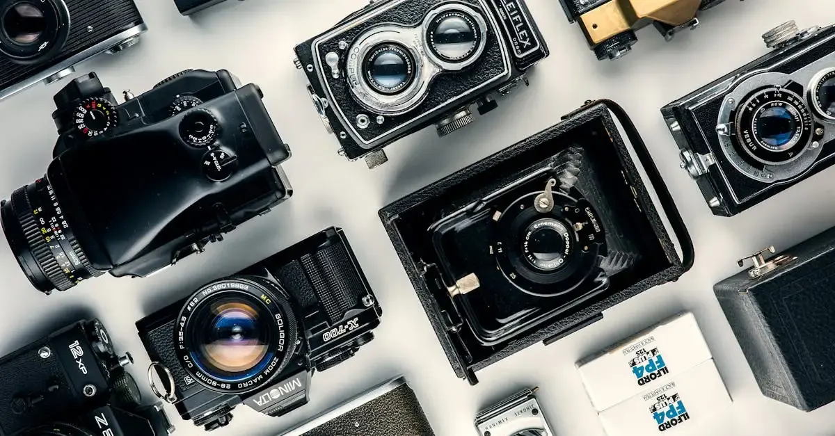 Fotografie mit weißem Hintergrund: Tipps und Techniken