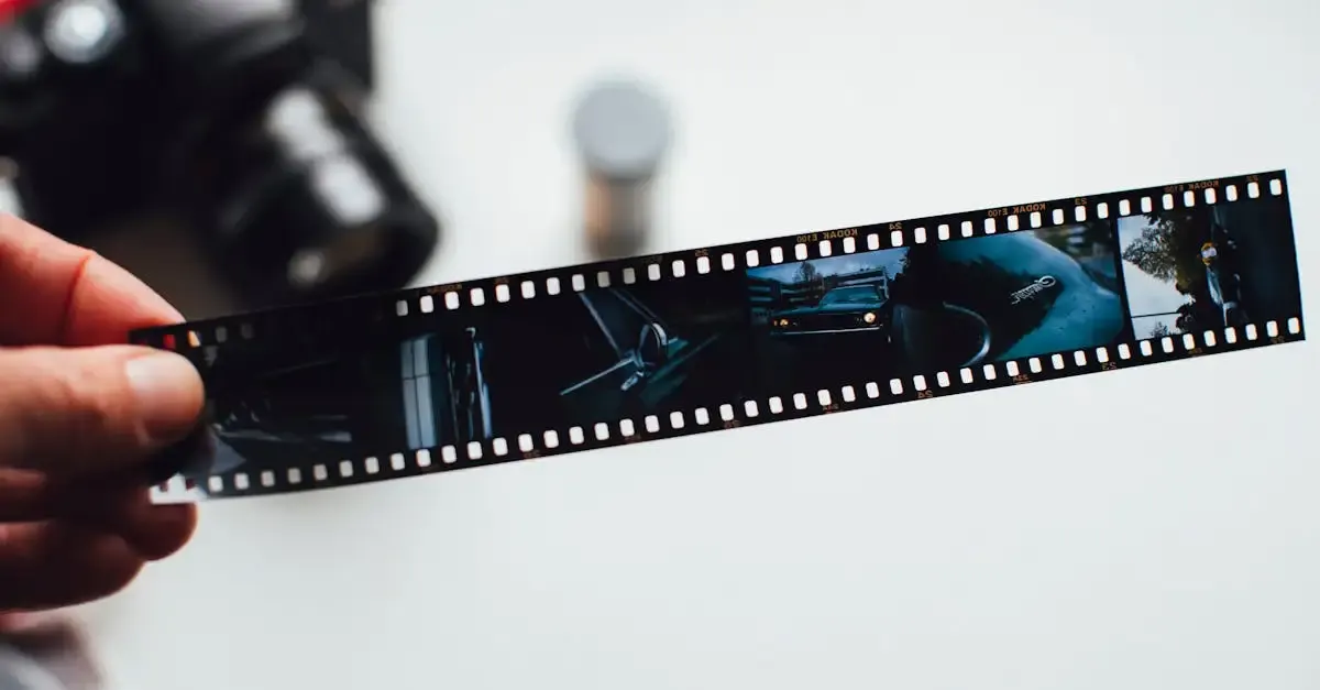 Fotografie negativ