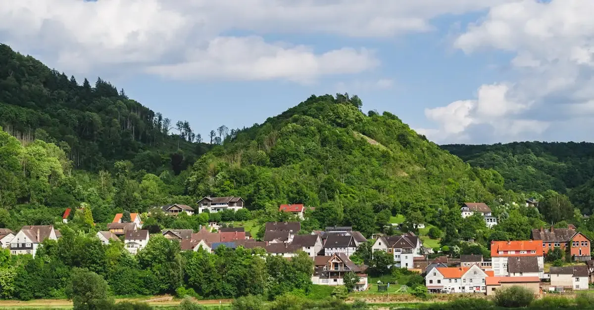 Fotografie pfalz