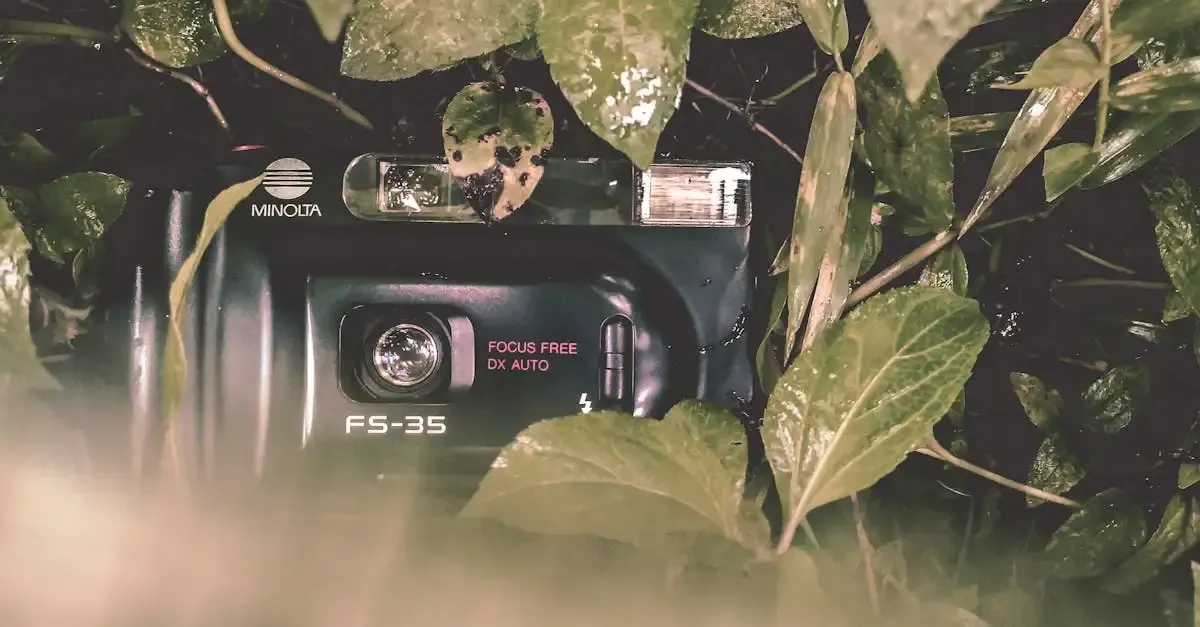 Fotografie Tarnung Kaufen: Effektive Ausrüstung