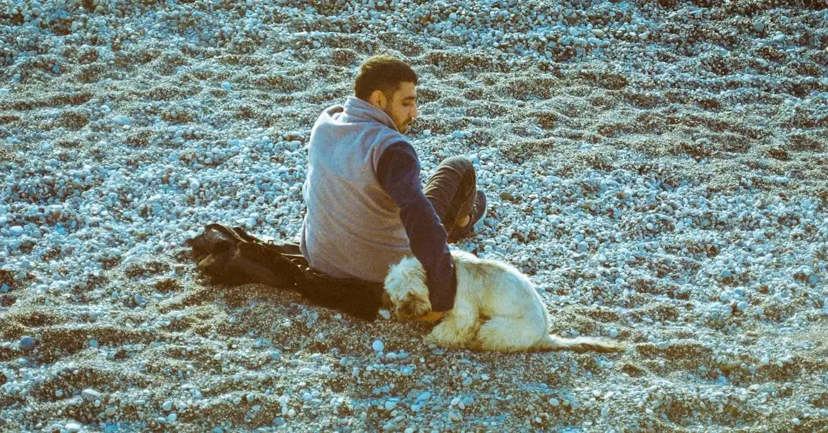 Fotografie von Hund und Mensch: Emotionale Momente