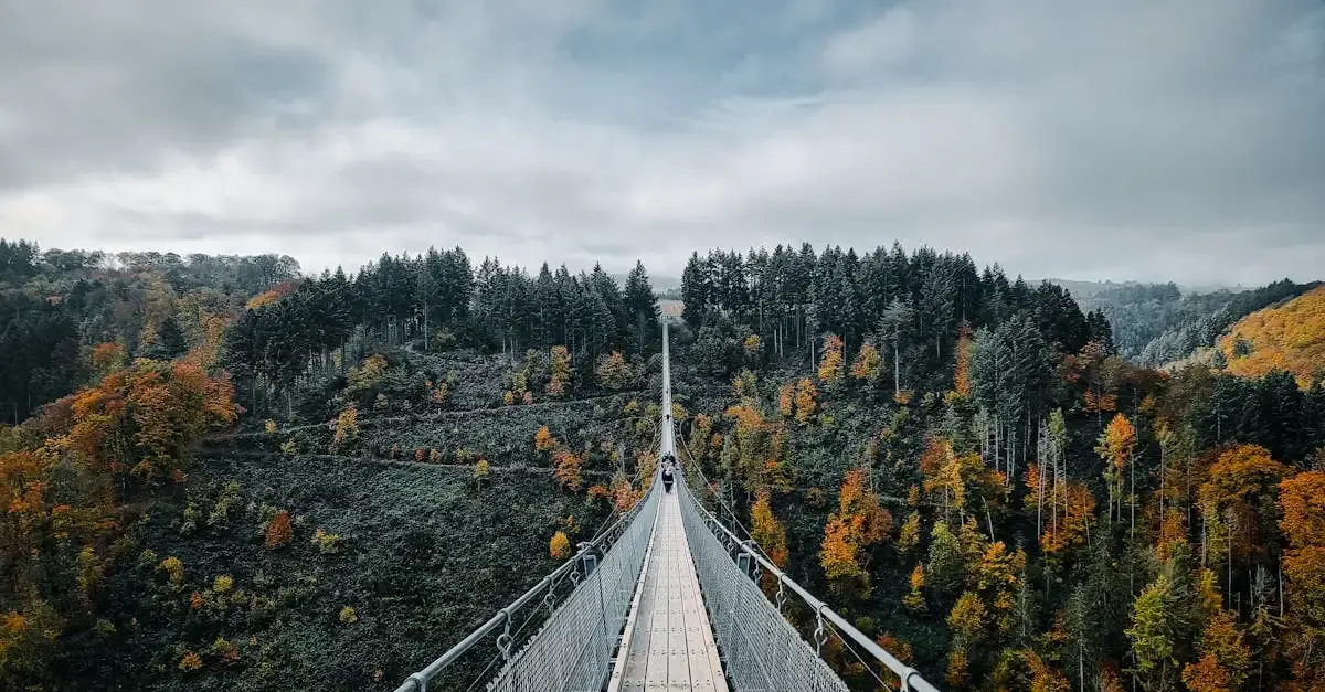 Herbst fotografie