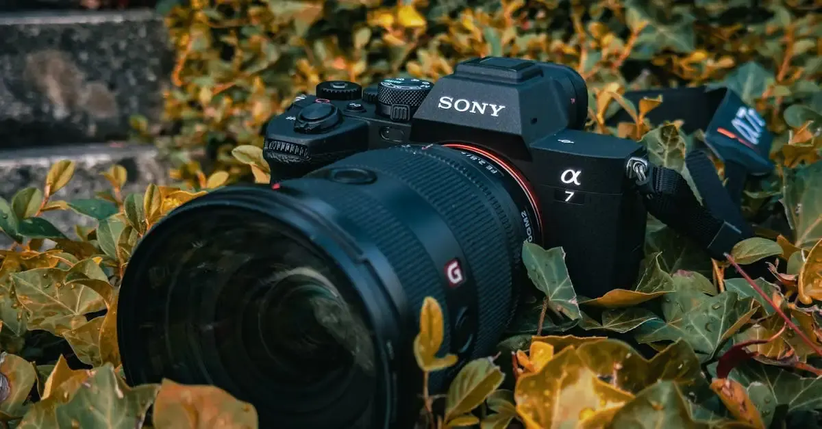 Jan will fotografie