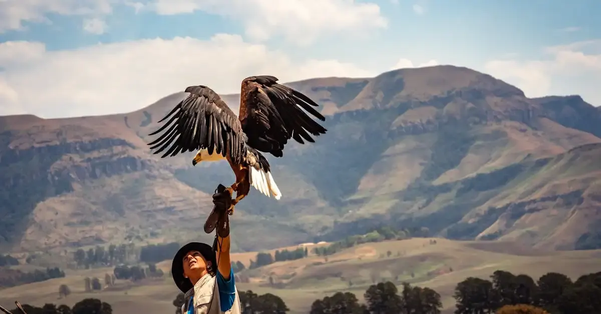 Masterclass fotografie