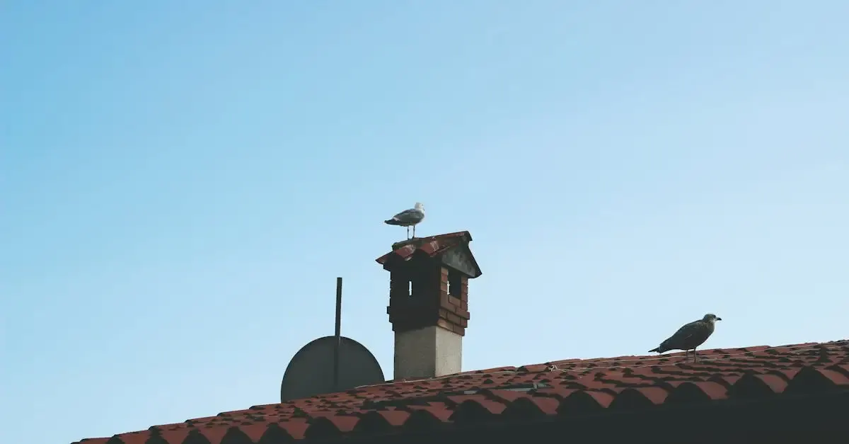 Minimalistische fotografie natur