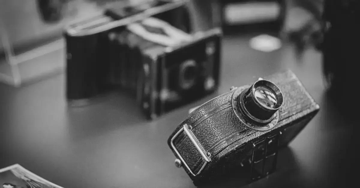 Monochrom fotografie