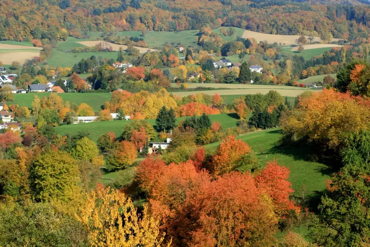 Odenwald fotografie