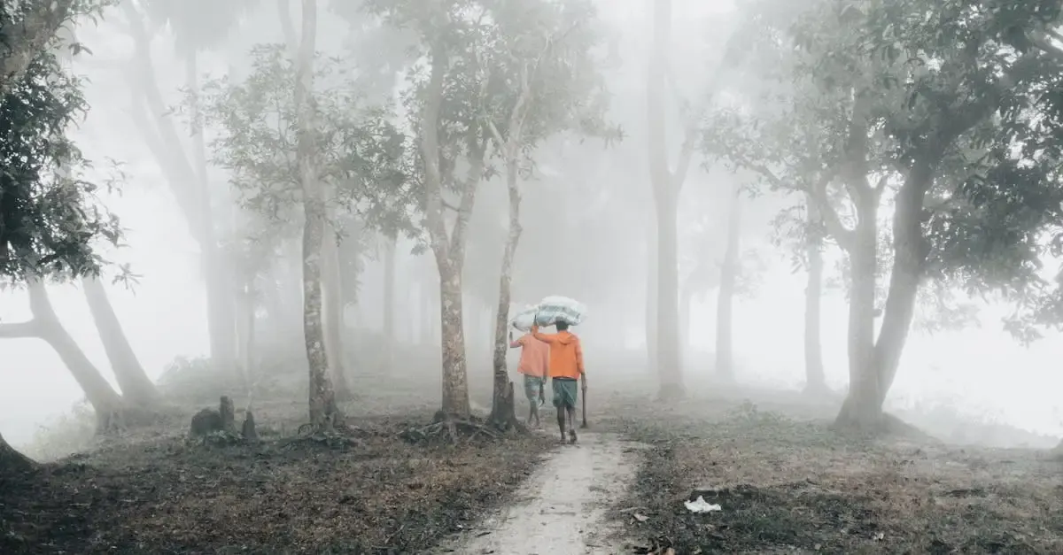 Regenschirm fotografie