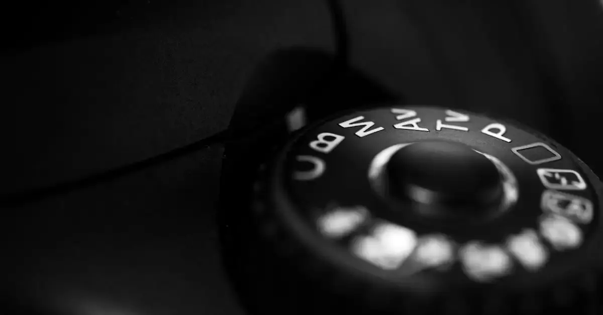 Schwarz weiß fotografie einstellungen