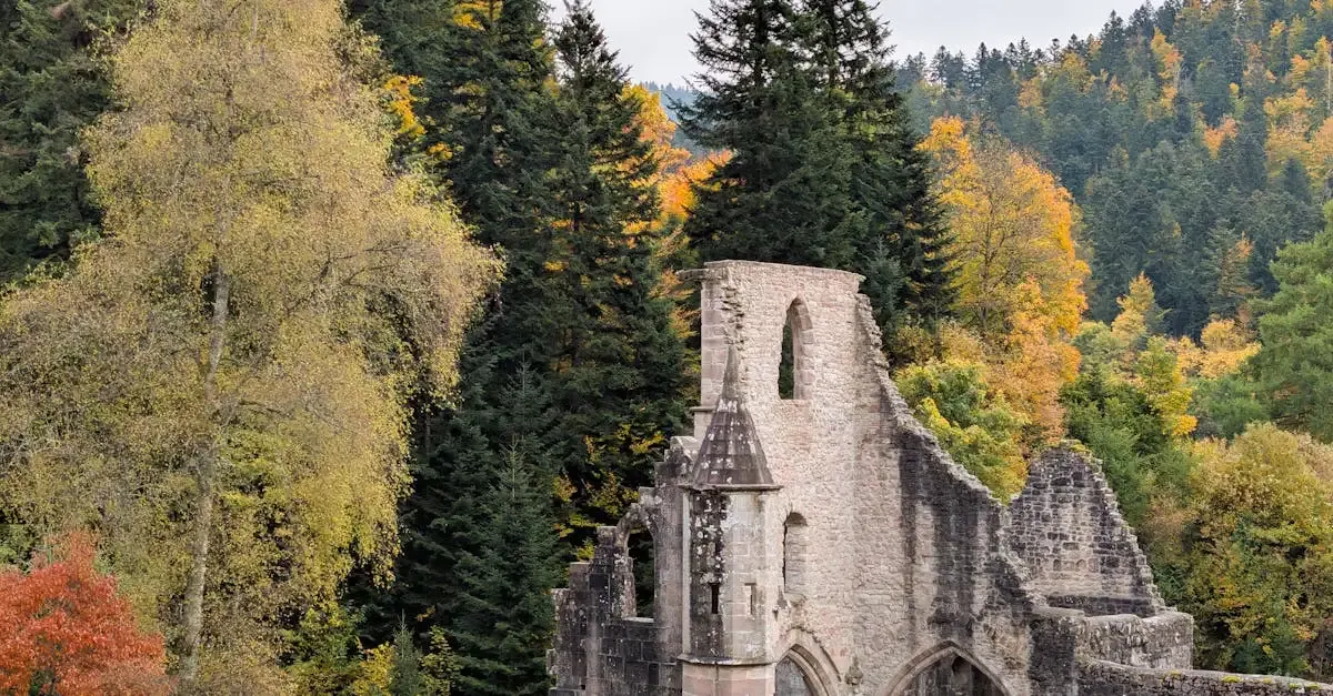 Schwarzwald fotografie