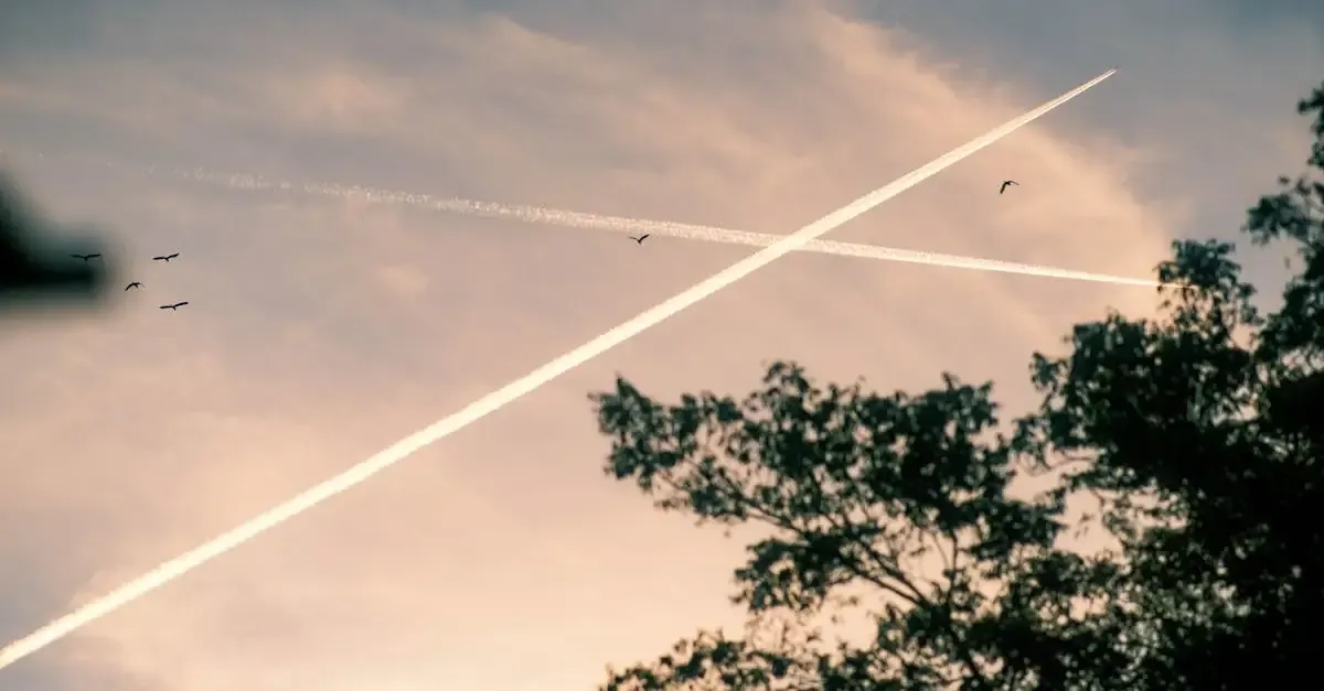 Sonnenuntergang fotografie