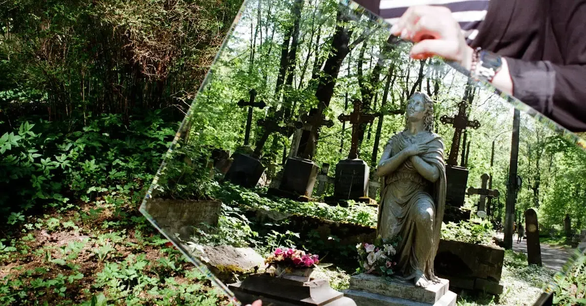 Spiegelbild fotografie