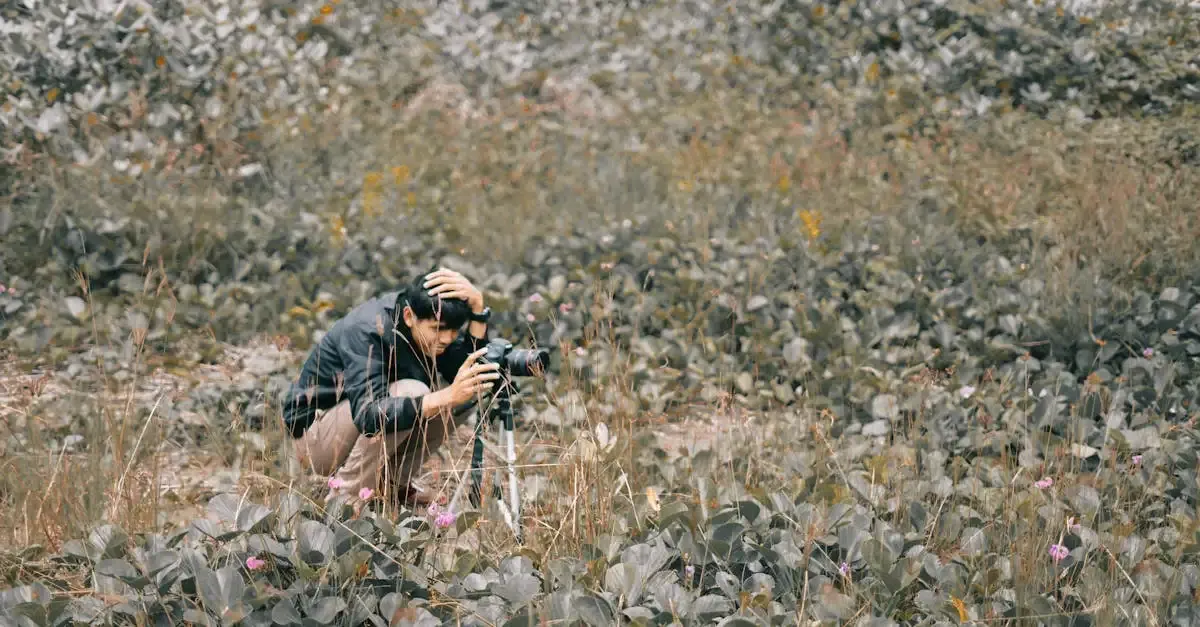 Stativ für Wildlife Fotografie: Tipps und Kaufberatung