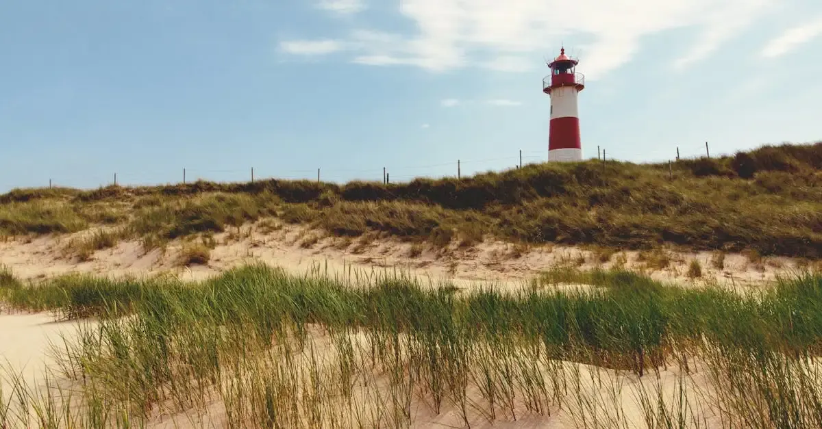 Sylt fotografie