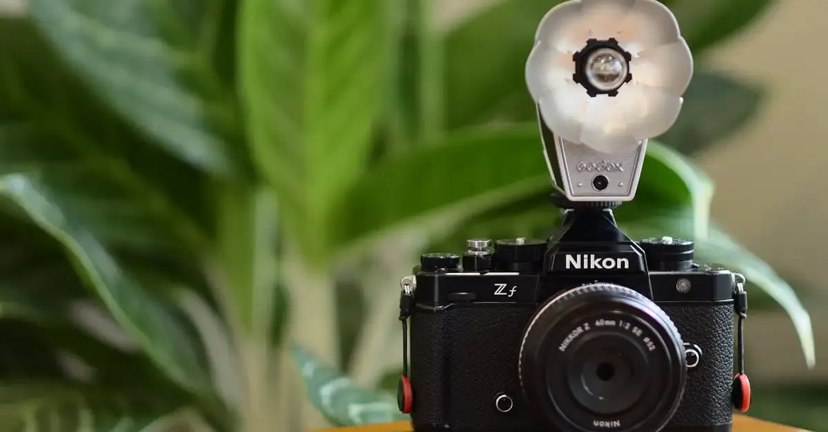Wunderlicht fotografie