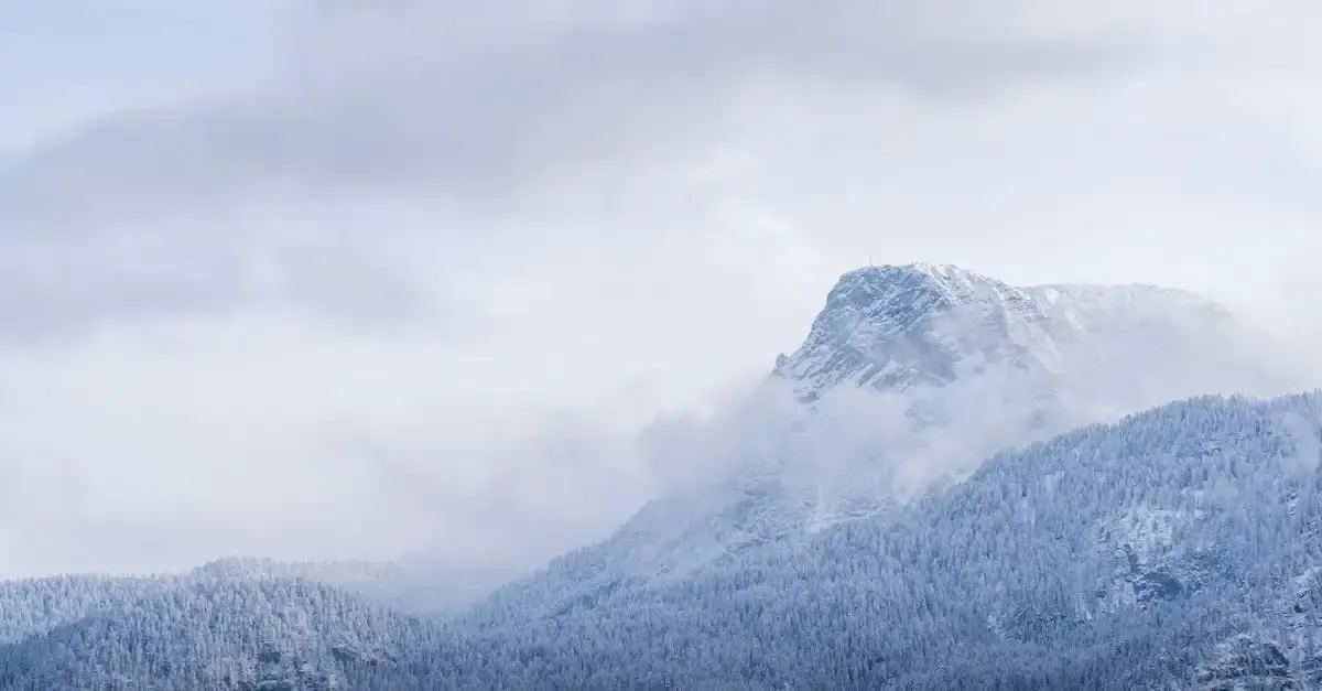 Wunschbild fotografie