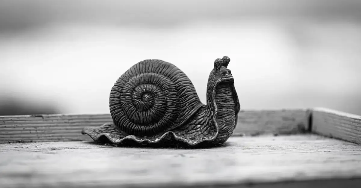 Zeitgenössische Fotografie: Kunst, Trends und Meisterwerke