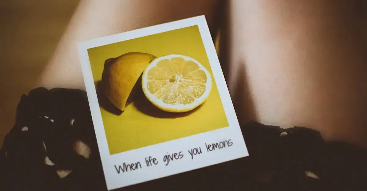 Zitate zu fotografie